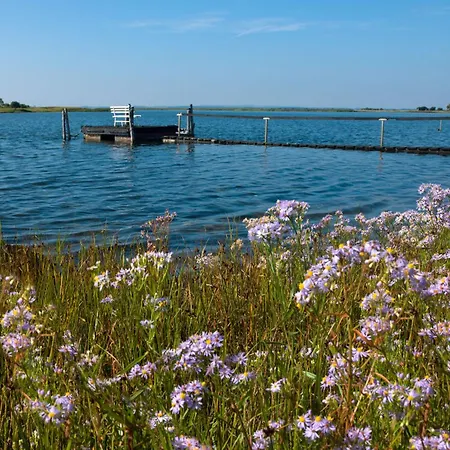 Godewind * Insel Poel