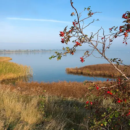 Godewind Apartment Insel Poel