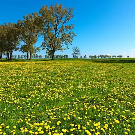 아파트 Godewind 인젤 포엘